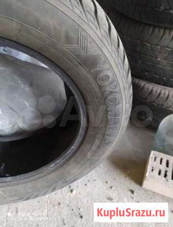 Шины Оренбург - изображение 1