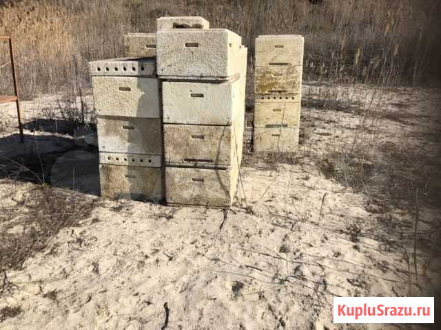 Улики для пчёл Волгоград - изображение 1