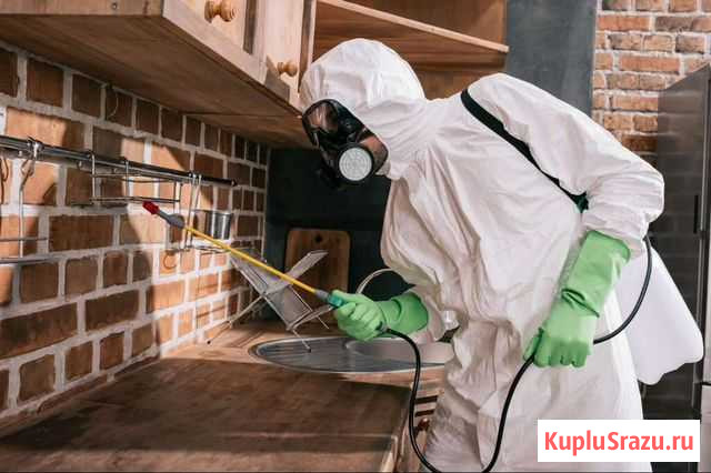 Дезинсекция. Обработка от тараканов и клопов Астрахань - изображение 1