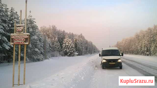 Заказ аренда автобуса газель Пермь - изображение 1