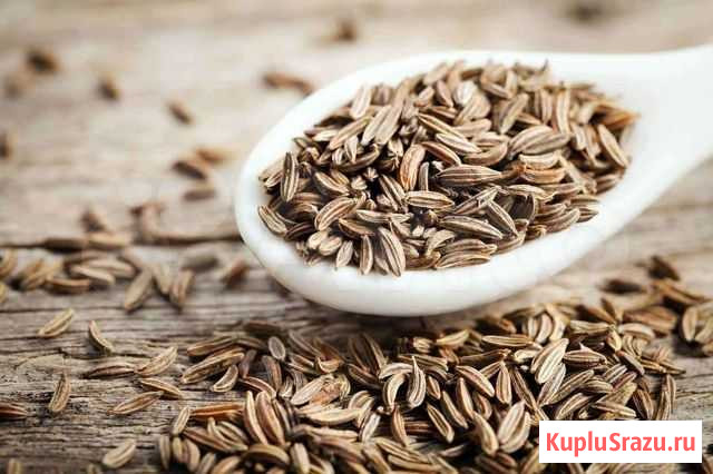Кумин(Зира) Крым Симферополь - изображение 1