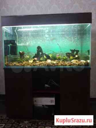 Аквариум 250л Кемерово