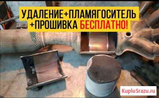 Бесплатное удаление катализатора с прошивкой Воронеж