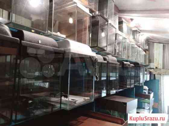 Изготовление аквариумов Кемерово