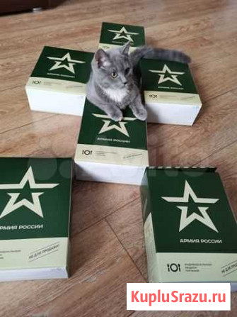 Суточный набор питания военторг Воронеж - изображение 1