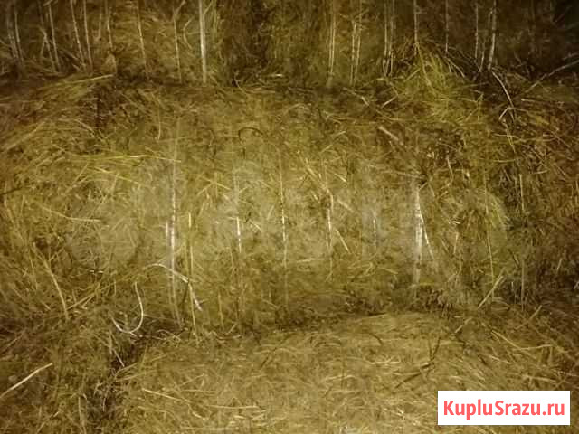 Сено люцерны в рулонах Моргауши - изображение 1