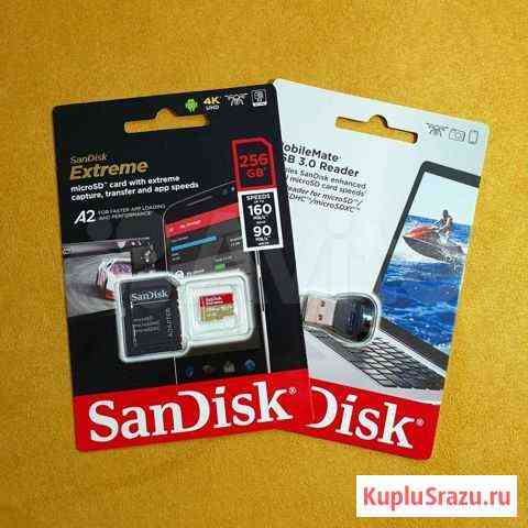 Карта памяти SanDisk Extreme 256 GB Micro SD / A2 Москва