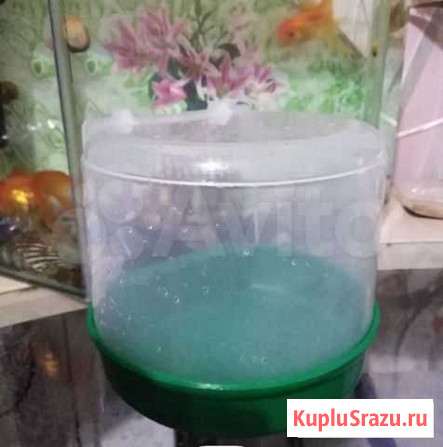 Аквариум Кумертау - изображение 1