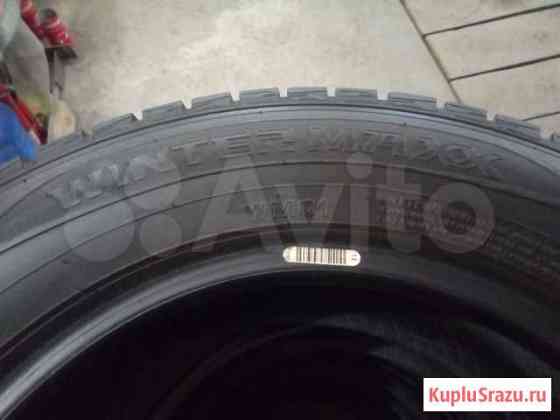 Зимняя резина 175/70R14 Dunlop Winter Maxx WM01 Томск