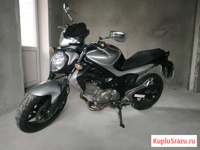 Suzuki gladius 650 Брянск - изображение 1