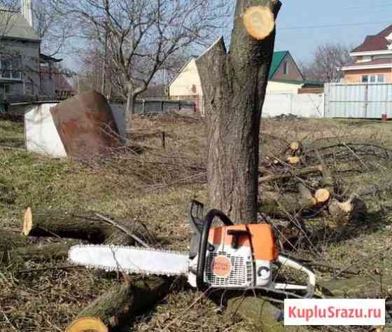 Спил деревьев, расчистка участка, покос травы Майский