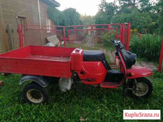 Муравей Рябово