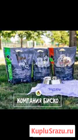 Корма для собак Симоненко - изображение 1