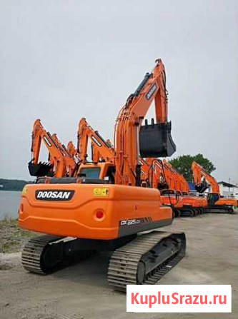 Гусеничный экскаватор Doosan DX225LCA Томск - изображение 1