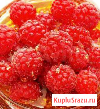 Малина с мёдом Большое Козино - изображение 1