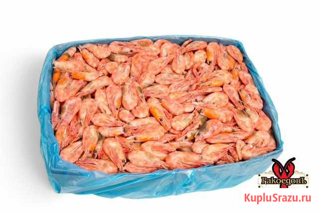 Креветки оптом по 5 кг Анапа - изображение 1
