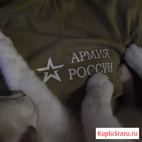 Уборка снега Лысьва - изображение 1