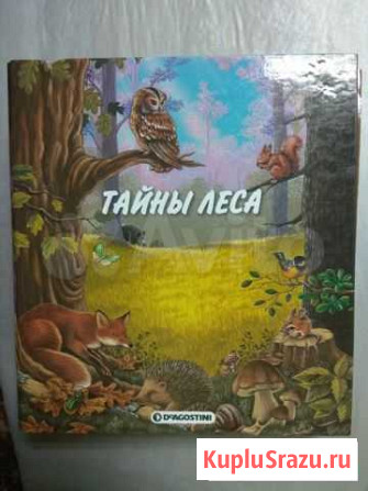 Папка коллекция Ставрополь - изображение 1
