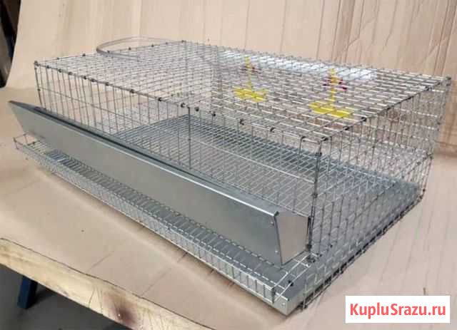 Изготовления клеток для кур и перепелов Барнаул - изображение 1
