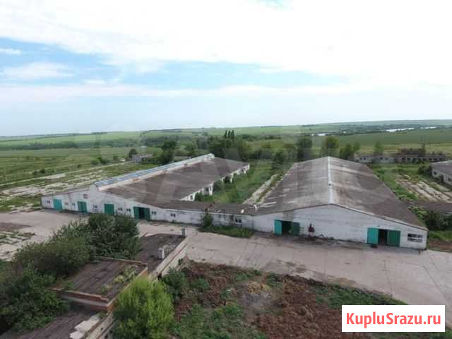 Сельхозпредприятия Курск - изображение 1