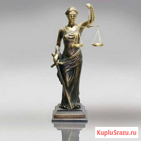 Адвокат. Защита в суде. Списание долгов Казань - изображение 1