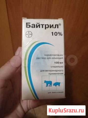 Байтрил 10 Сочи - изображение 1
