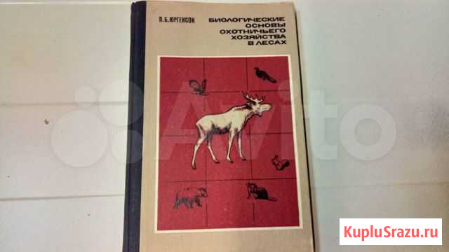 Книга Вязники - изображение 1