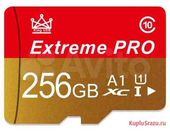 Карта памяти MicroSD XC 256Gb Грозный