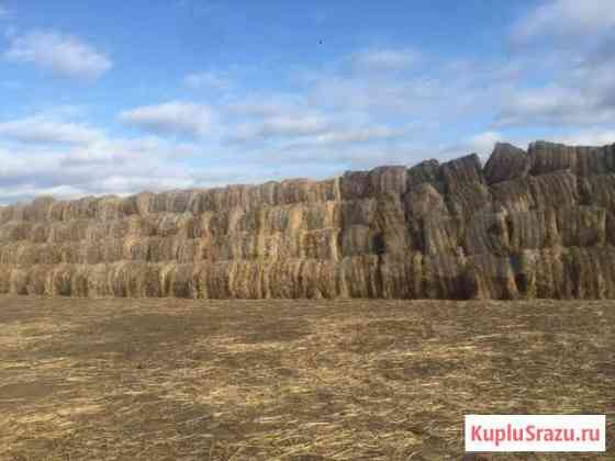 Сено и суданская трава Кабанск