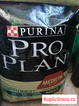 Продам сухой корм PRO plan для собак и кошек Архангельск - изображение 1