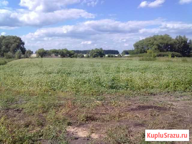 Зерно Захарово - изображение 1
