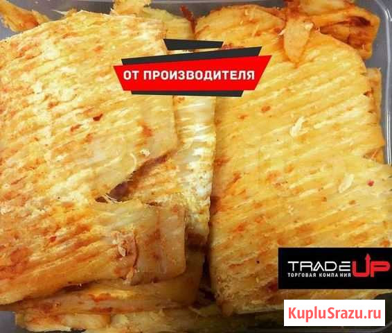 Кальмары Туймазы - изображение 1