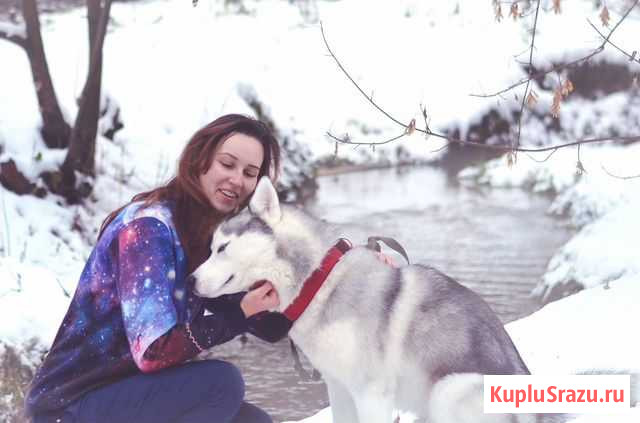 Фотограф Оренбург - изображение 1