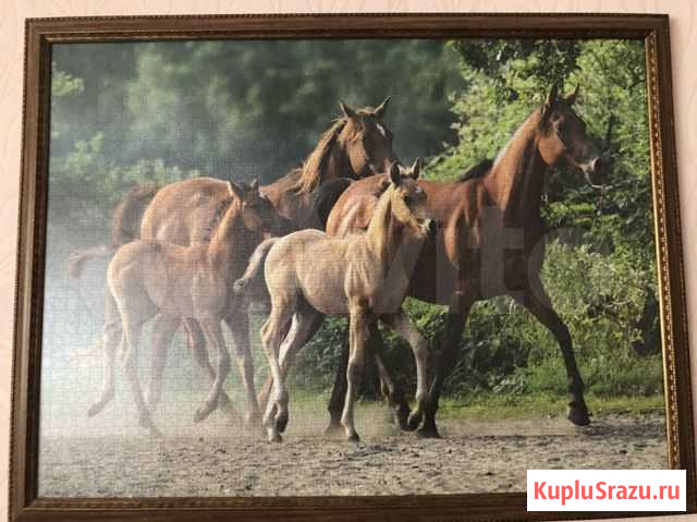 Картина из пазл Казань - изображение 1