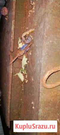 Бак из чермета Лебяжье - изображение 1