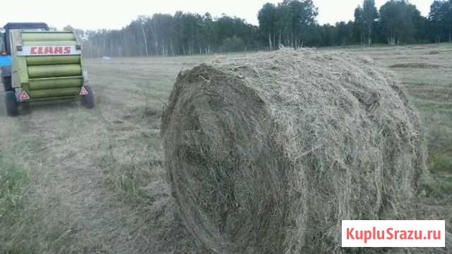Сено Двуреченск - изображение 1