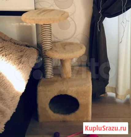Домик когтеточка Благовещенск - изображение 1