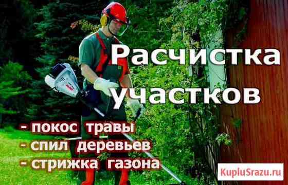 Спил деревьев, расчистках участков, снос ветхих ст Афипский