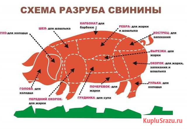 Свинина Петров Вал - изображение 1
