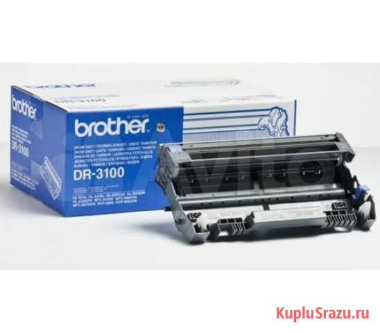 Фотобарабан Brother DR-3100 Пермь - изображение 1