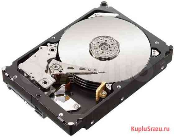 HDD 160 gb Бийск