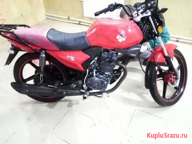 Продам ирбис 150gs Воскресенское - изображение 1