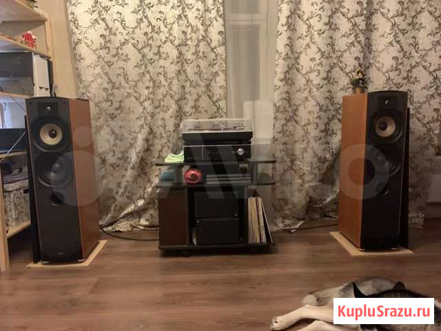 Акустика Paradigm Reference Studio 80 v2 Шатура - изображение 1