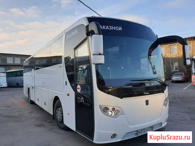 Скания Омни Экспресс К310 Санкт-Петербург - изображение 1