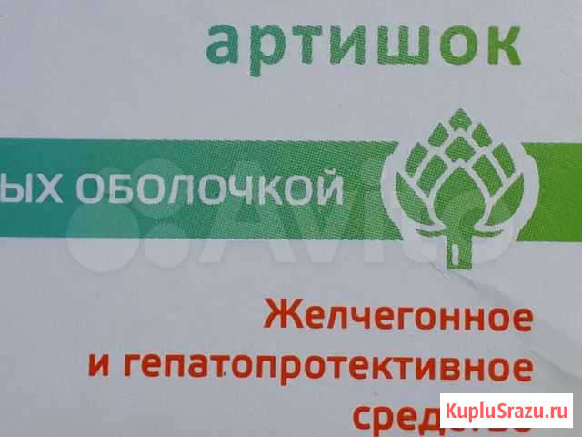 Артишок Брянск - изображение 1