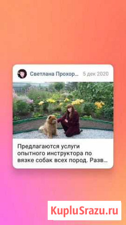 Инструктор по вязке собак всех пород Бердск - изображение 1