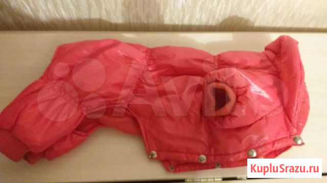 Зимняя одежда для средней собачки Узловая - изображение 1