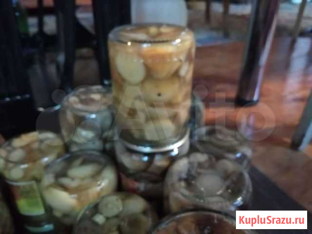 Грибы Москва - изображение 1