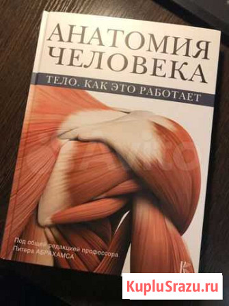 Учебник анатомия человека Светлый - изображение 1