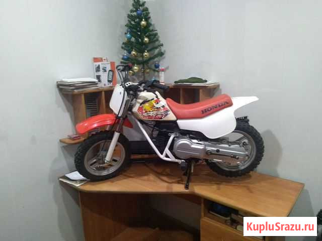 Honda QR50 Красноярск - изображение 1